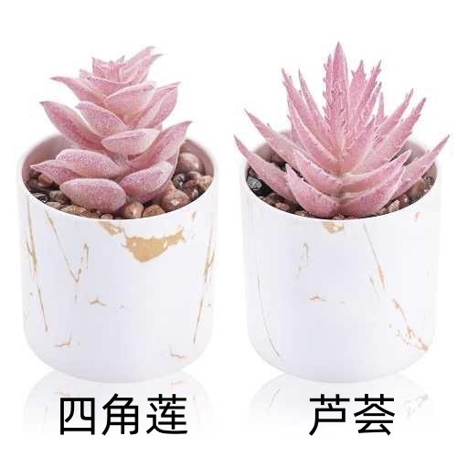 2个水转印桶粉色.jpg