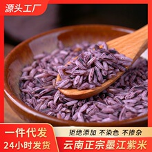 云南墨江紫米老品种更软糯富含花青素500g真空包装大货批发