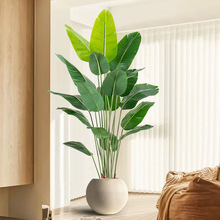 �����Gֲ����ֲ�����˽����ͼ٘������B���W�҃ȿ͏d�b����Ԕ[��