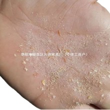 �S���x������x�x�ѷN�x�ѡ��N�x������x�x�ѡ����]�������g