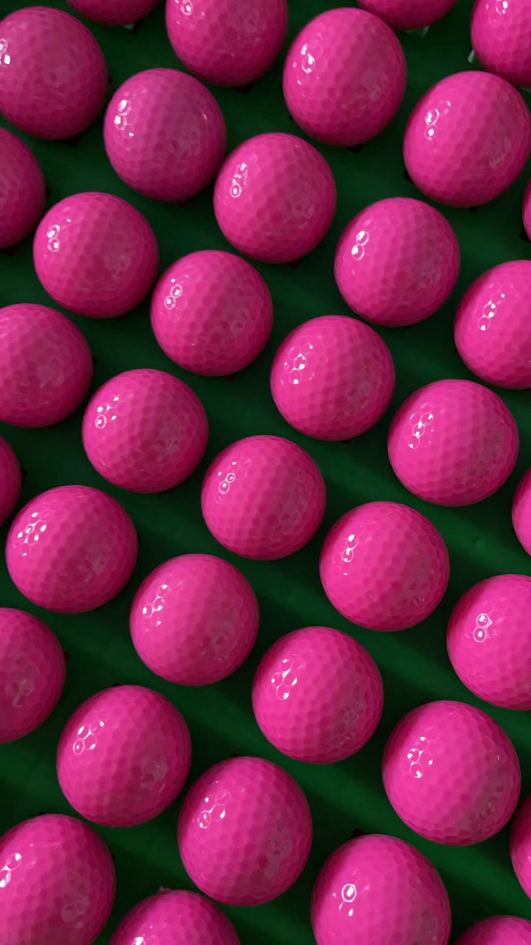 微信图片_20241119104955