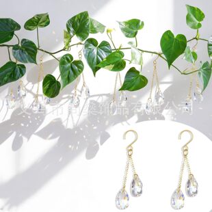 6��ˮ��̫ꖲ�����ֲ�����Լ�ͥ��̨���@�b��̫ꖲ��ֲʺ���