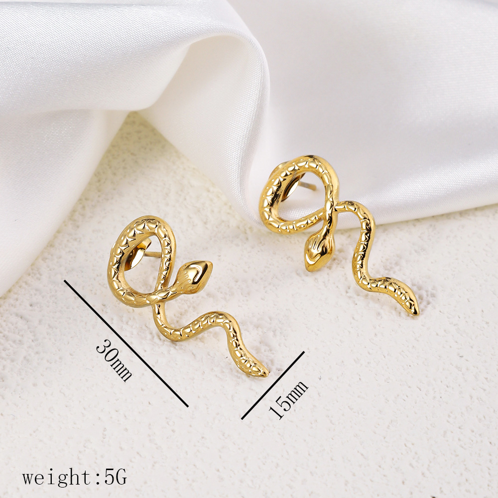 1 Pair Simple Style Commute Geometric Heart Shape Plating Titanium Steel Drop Earrings Earrings Ear Studs display picture 24