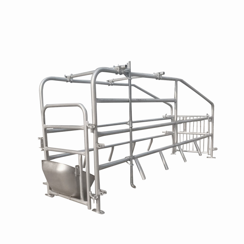 Los fabricantes venden al por mayor camas de producción de cerdas de pie y garantizan equipos para cerdos monómeros de pie de doble uso camas de parto de cerdas