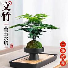 ��������ˮ��ֲ���k���ҕ���ˮ�B�Gֲ̦�\��С�辰�ļ����G���B��