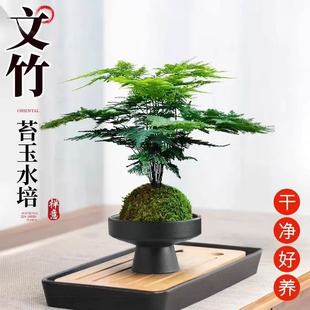 ��������ˮ��ֲ���k���ҕ���ˮ�B�Gֲ̦�\��С�辰�ļ����G���B��
