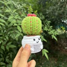 ���R�d���uHandmand Emotionlal Support Plant Gift�ֹ�ֲ������