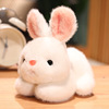 Cute plush toy, children's rabbit, small rag doll, white rabbit, Birthday gift