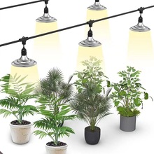 �¿�ֲ��Nֲ���@���Ҵ����a��������L����¶��ˮ���߲�