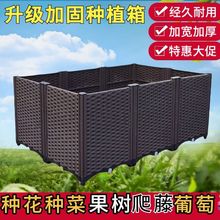 �Nֲ���̨���ͥԺ�߲��L���λ������ϻ�����ü�ͥ�N�ˌ�����