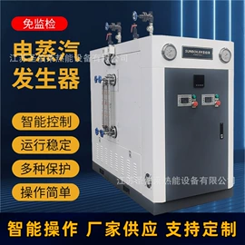 蒸汽发生器;燃生物质锅炉;燃油锅炉