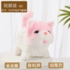 Short -legged cat (powder) called drum sound
