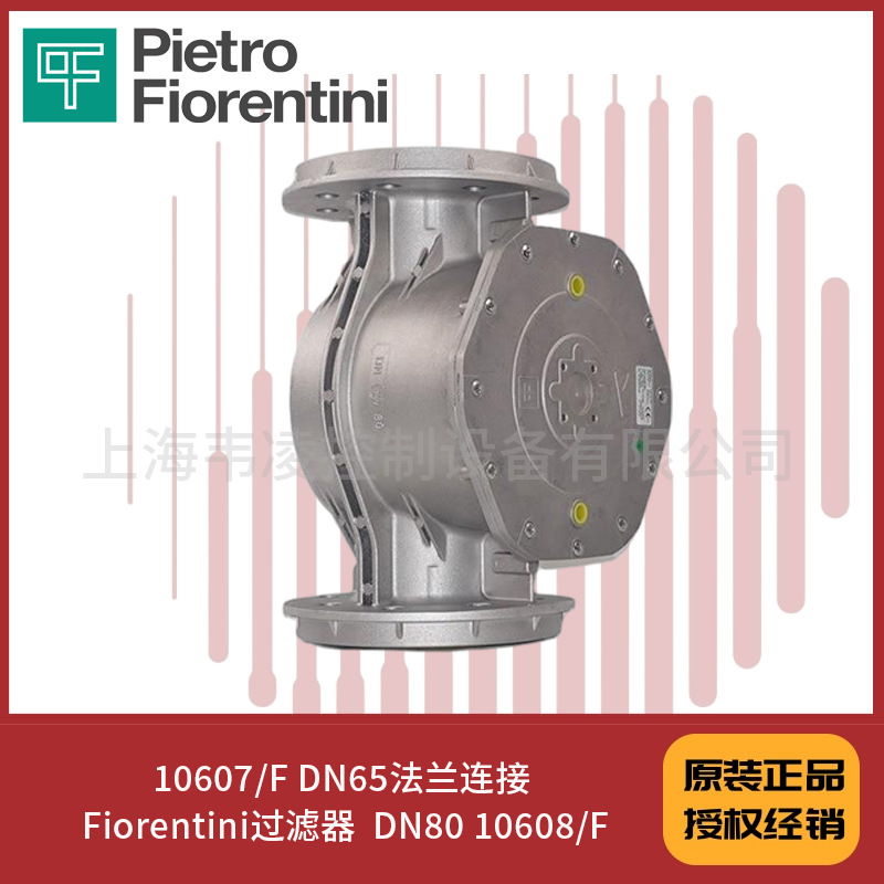 10607/F DN65法兰连接 Fiorentini过滤器  DN80 10608/F