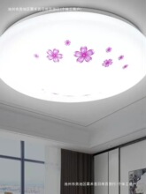 简约现代LED圆形吸顶灯过道阳台卧室客厅灯房间厨房餐厅灯具饰