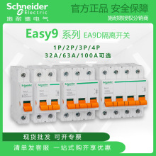 施耐德EA9D隔离开关/低压负荷开关 1P/2P/3P/4P 32A63A100A