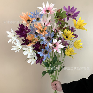 ��c����4�^̫ꖻ���ꖾջ���Y�þƵ겼�ñ���·���廨�ٻ����lA