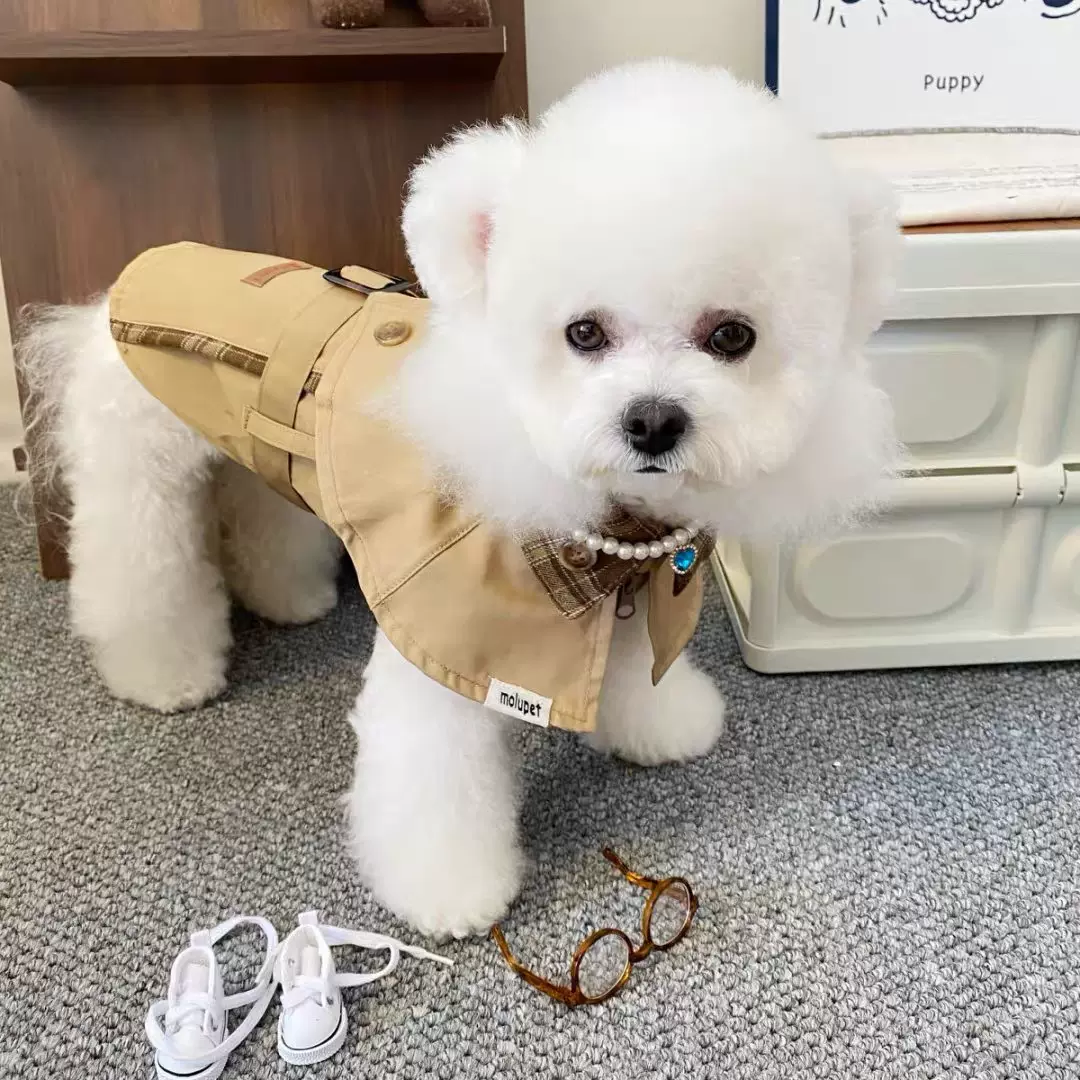 狗狗生日正装衣服英伦风衣小型犬帅气绅士服装小猫咪博美泰迪比熊