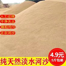 天然河沙种植沙乌龟冬眠鱼缸造景水泥沙子石英砂玩具沙细沙粗沙