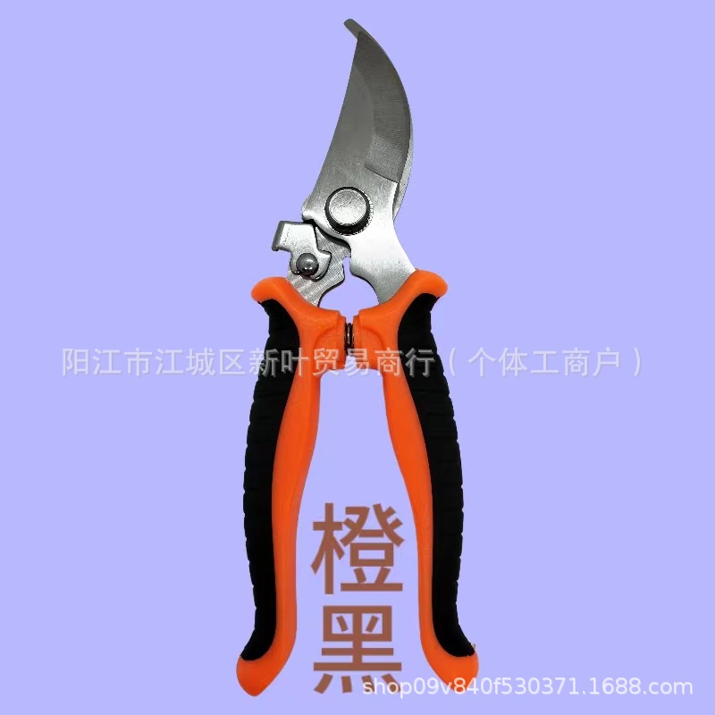 微信图片_20240308184039