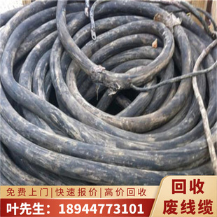 늾���|�U�X���ՏS��  ������|늾����Ճr���  �߃r���ՏU���|