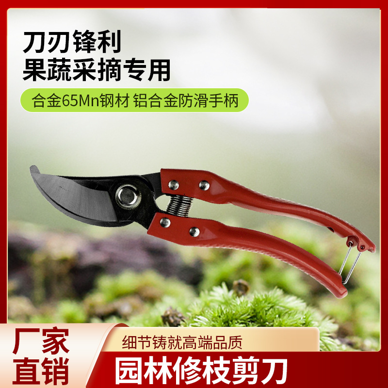 修枝剪园艺剪刀树枝果树专用剪子神器园林修剪花艺家用工具