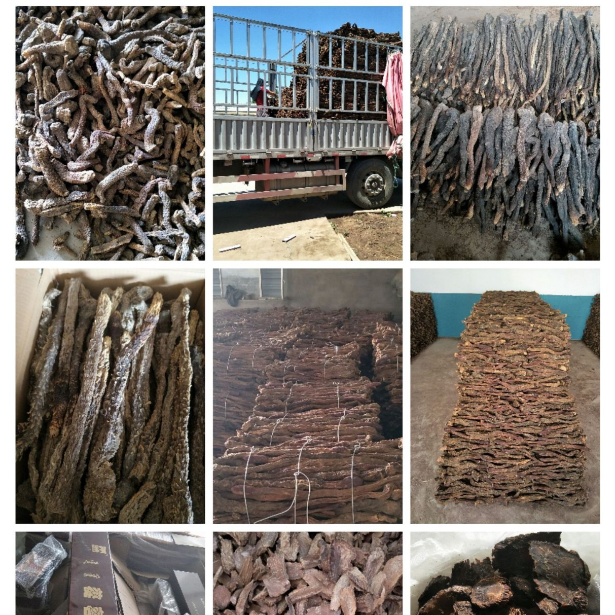Inner Mongolia Alxa Dried Cistanche Slices Rou Cong Rong Herbal Tea and Wine Soaking Material quality and texture