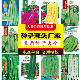 �N�ӟo��㶹����m������o�ܶ��׶�ü����ſ���߲˴�ȫһ�����l