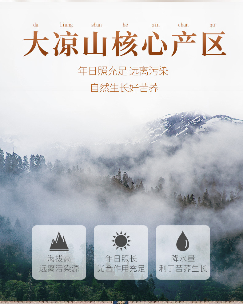 Black Tartary Buckwheat Tea Ku Qiao Cha 250g Canister Sugar Free Cold Brew Sichuan Liangshan Style quality and texture