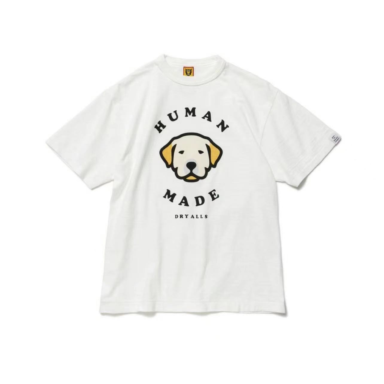 T2517 화이트