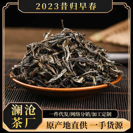 云南茶叶2023年普洱茶昔归早春生茶原料散茶1000g厂家现货直供