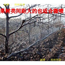 �r�� �ι�6�� 1�� ��ˮ�� ΢���� ��ˮ������ �ι��� ��� ��ˮ