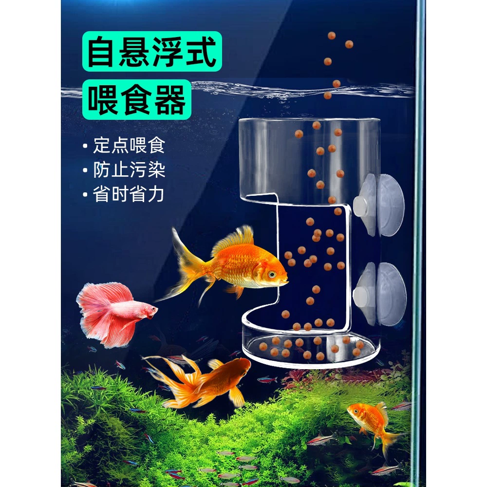 Кормушка для аквариума, кормушка для мелких рыб, черепах, анти-дрейф, фиксированное кормовое кольцо, аквариум, акриловый прозрачный ящик