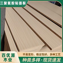 �S�����a�w���� �w�����N��� �w����Ҿ߰噻���� �ܲ��C�� ����