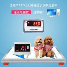 �������سӶ�����ӳƹ��������������ӵسƵذ�300kg��������̨