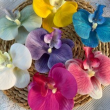 �¿��������m���^3d��ӡ�zƬ�ٻ��ֹ�DIY�^��ػ���Y��������