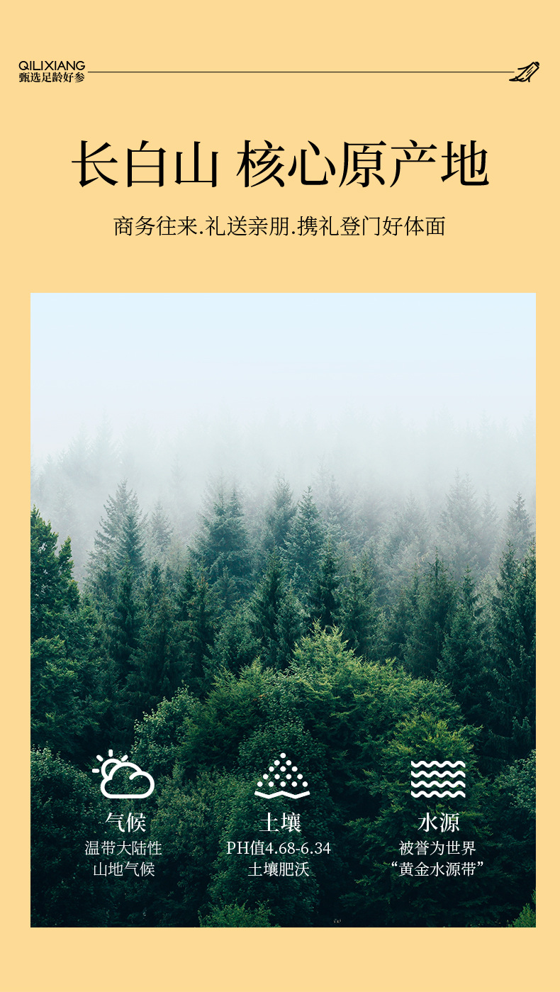 American Ginseng Soft Branch Slices 0.8-1.0cm Changbai Mountain 102g Gift Box 12 Jars key features