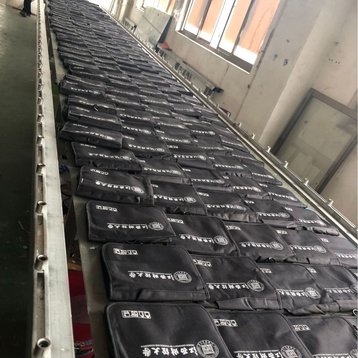 Enlace personalizado Gancho catiónico Bolsa de lavado Bolsa de cosméticos Bolsa de almacenamiento Viajes portátiles personalizados