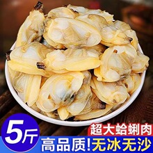 花甲肉新鲜冷冻蛤蜊肉大花甲鲜活花蛤黄蚬子肉海鲜水产非干活即食