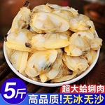 花甲肉新鲜冷冻蛤蜊肉大花甲鲜活花蛤黄蚬子肉海鲜水产非干活即食