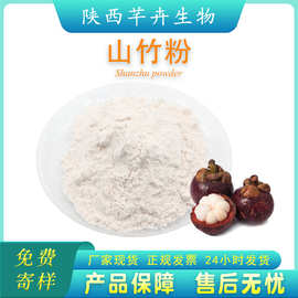 山竹粉 水溶 山竹果提取物 山竹果粉 水果粉 1KG起厂家现货包邮