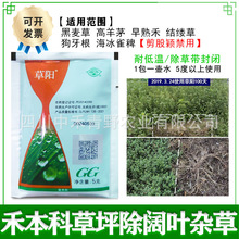 国光草阳草坪车前草荠菜水花生婆婆纳阔叶专用烂根除草剂农药批发