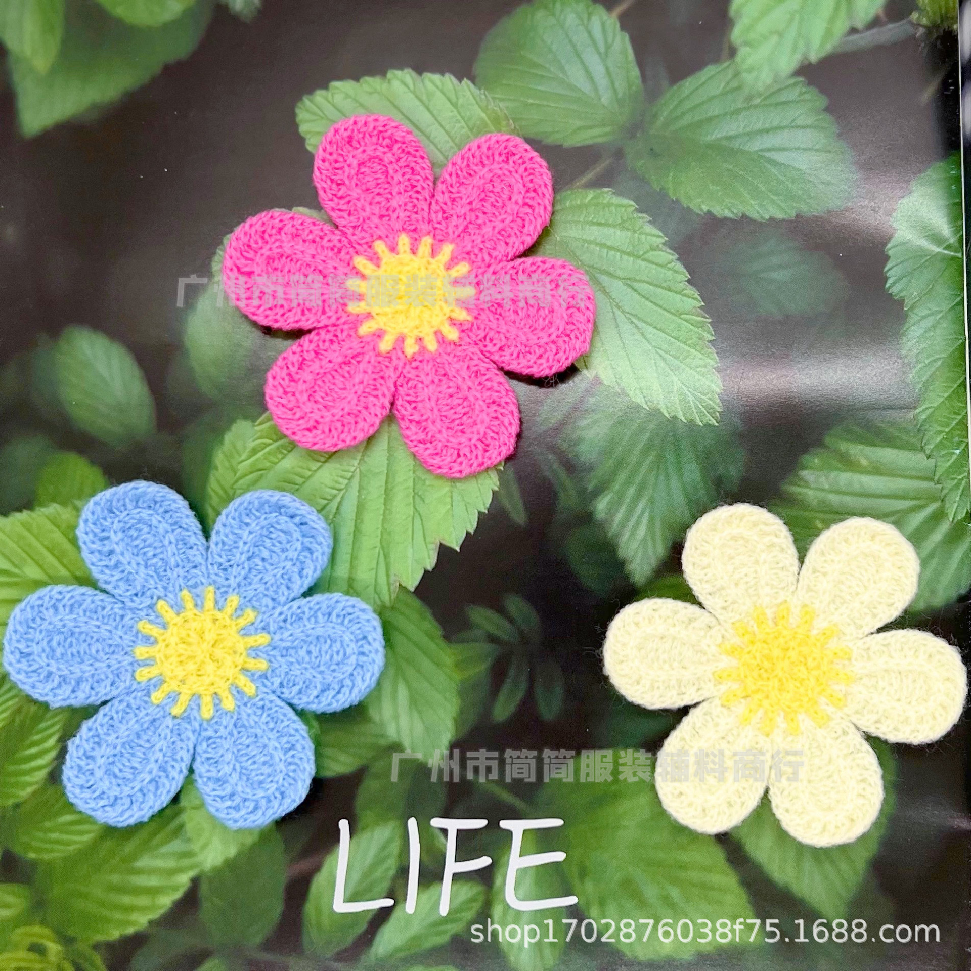 2024-09-06 191314(2).jpg