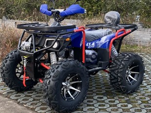 Arctic Sky Factory Direct Sales Ce Certified Adult Four-Wheel Drive Off-Road Beach Vehicle 4X4 Kart Two-Seater Motorcycle Atv