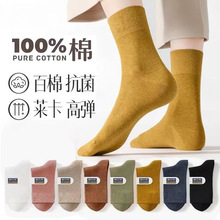 100%新疆棉袜子女夏季中筒袜纯棉全棉春秋款长筒袜高筒女士长袜