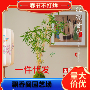 һ�����l̦�\��ֲ�������Pβ��t�^�����^ˮ���辰�͏d�����^�p