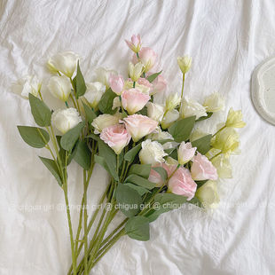 ����4�^��۹����滨 ��c�ٻ��b� �ҾӔ[���[�O�b�zӰ��S��