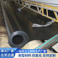 HDPE ジオメンブレン不浸透性フィルム魚の池貯水池川養殖埋立地高密度ポリエチレンジオメンブレン