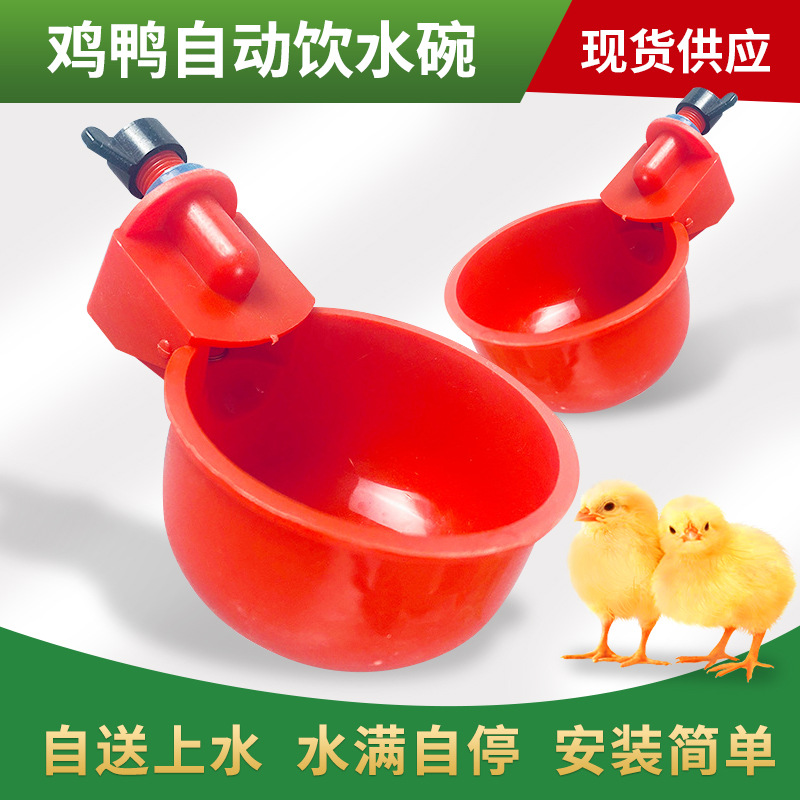 鸡用自动饮水器鸡鸭鹅饮水碗喝水碗鹌鹑家禽饮水器雏鸡鸭鸟饮水器