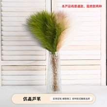 �羳������ȼ�JȔ��֦�Ҿ��T��¾Gֲ�ٻ�����������̈��[����c