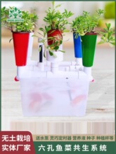 �W���W�����~�˹���ϵ�y�o�������O��ˮ��Nֲϵ�yֲ�����L�^��